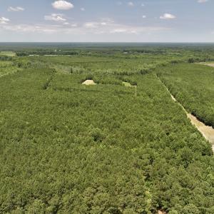 Photo #4 of Off Long Ridge Rd, Plymouth, NC 88.7 acres