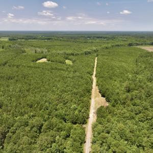 Photo #5 of Off Long Ridge Rd, Plymouth, NC 88.7 acres