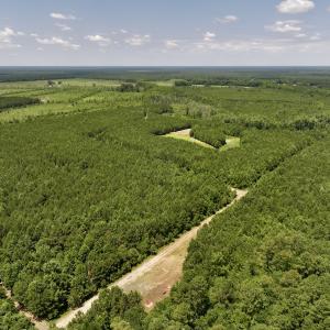 Photo #6 of Off Long Ridge Rd, Plymouth, NC 88.7 acres