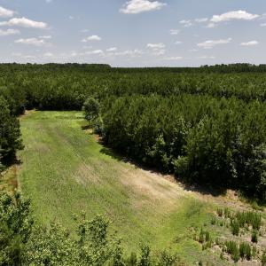 Photo #24 of Off Long Ridge Rd, Plymouth, NC 88.7 acres