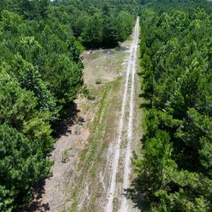 Photo #25 of Off Long Ridge Rd, Plymouth, NC 88.7 acres