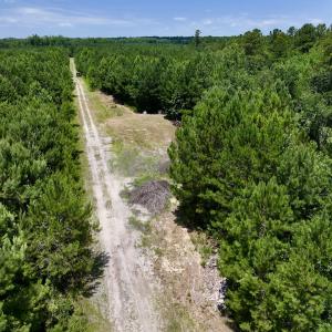 Photo #26 of Off Long Ridge Rd, Plymouth, NC 88.7 acres
