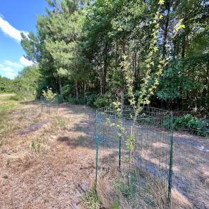 Photo #28 of Off Long Ridge Rd, Plymouth, NC 88.7 acres