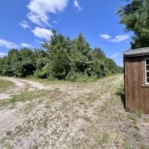 Photo #29 of Off Long Ridge Rd, Plymouth, NC 88.7 acres