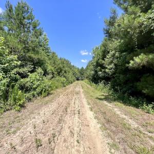 Photo #31 of Off Long Ridge Rd, Plymouth, NC 88.7 acres