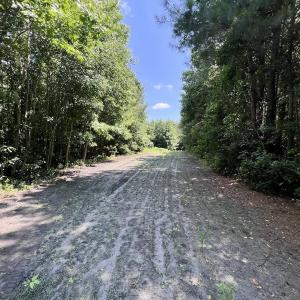 Photo #32 of Off Long Ridge Rd, Plymouth, NC 88.7 acres