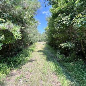 Photo #33 of Off Long Ridge Rd, Plymouth, NC 88.7 acres