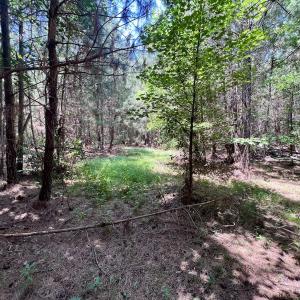 Photo #36 of Off Long Ridge Rd, Plymouth, NC 88.7 acres