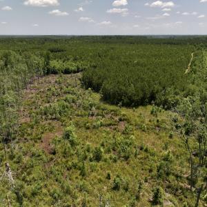 Photo #38 of Off Long Ridge Rd, Plymouth, NC 88.7 acres