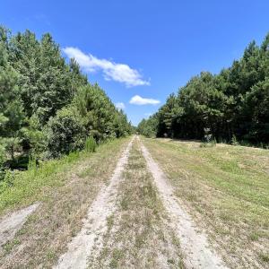 Photo #46 of Off Long Ridge Rd, Plymouth, NC 88.7 acres