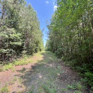 Photo #49 of Off Long Ridge Rd, Plymouth, NC 88.7 acres