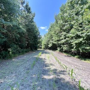 Photo #53 of Off Long Ridge Rd, Plymouth, NC 88.7 acres