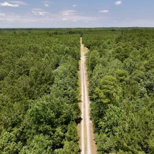 Photo #78 of Off Long Ridge Rd, Plymouth, NC 88.7 acres