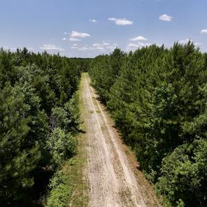Photo #79 of Off Long Ridge Rd, Plymouth, NC 88.7 acres