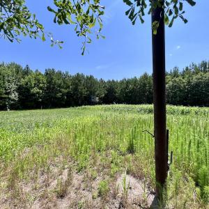 Photo #80 of Off Long Ridge Rd, Plymouth, NC 88.7 acres