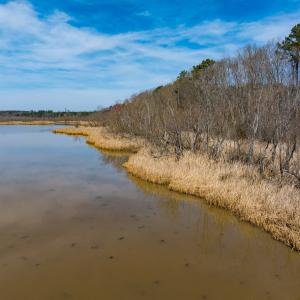 Photo #12 of Off Old Gaston Extended - Lot 1, Gaston, NC 0.5 acres