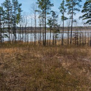 Photo #17 of Off Old Gaston Extended - Lot 1, Gaston, NC 0.5 acres