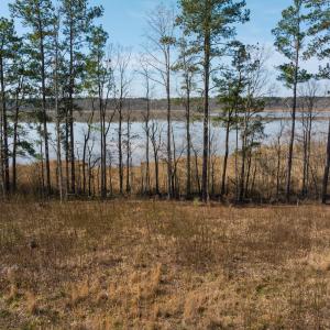 Photo #4 of Off Old Gaston Extended - Lot 2, Gaston, NC 0.5 acres