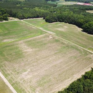 Photo #2 of Off Meherrin Rd, Courtland, VA 115.0 acres