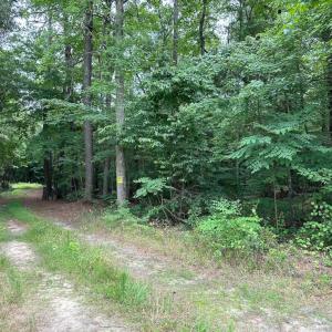 Photo #13 of Off Meherrin Rd, Courtland, VA 115.0 acres