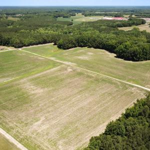 Photo #14 of Off Meherrin Rd, Courtland, VA 115.0 acres