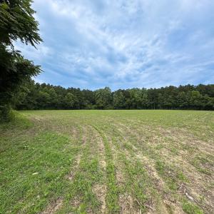 Photo #18 of Off Meherrin Rd, Courtland, VA 115.0 acres