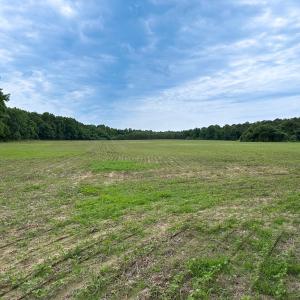 Photo #24 of Off Meherrin Rd, Courtland, VA 115.0 acres