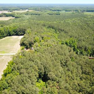 Photo #26 of Off Meherrin Rd, Courtland, VA 115.0 acres