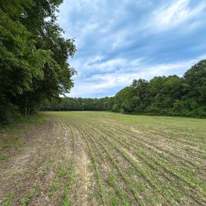 Photo #28 of Off Meherrin Rd, Courtland, VA 115.0 acres