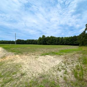 Photo #40 of Off Meherrin Rd, Courtland, VA 115.0 acres