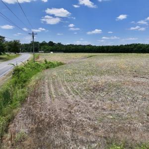 Photo #38 of Off Highway 903, Snow Hill, NC 116.0 acres