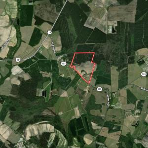 Photo #39 of Off Highway 903, Snow Hill, NC 116.0 acres
