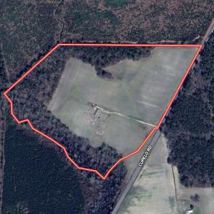 Photo #1 of 1125 Cupela Rd, Walstonburg, NC 38.0 acres