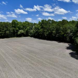 Photo #11 of 1125 Cupela Rd, Walstonburg, NC 38.0 acres