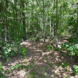 Photo #9 of 1125 Cupela Rd, Walstonburg, NC 38.0 acres