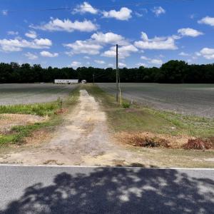 Photo #25 of 1125 Cupela Rd, Walstonburg, NC 38.0 acres