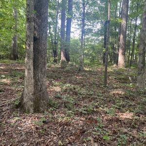 Photo #5 of 0001 Deer Run Trail, Mebane, NC 1.0 acres