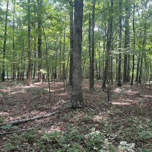 Photo #10 of 0001 Deer Run Trail, Mebane, NC 1.0 acres