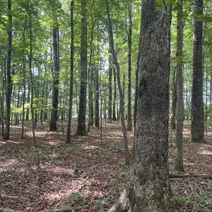 Photo #4 of 0000 Deer Run Trail, Mebane, NC 3.8 acres