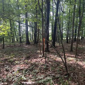 Photo #5 of 0000 Deer Run Trail, Mebane, NC 3.8 acres