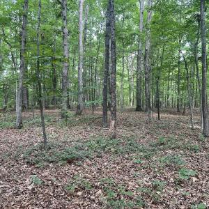 Photo #7 of 0000 Deer Run Trail, Mebane, NC 3.8 acres