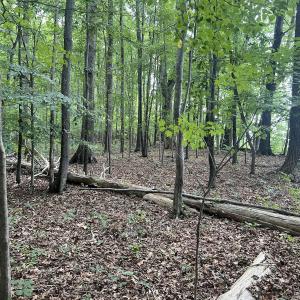 Photo #20 of 0000 Deer Run Trail, Mebane, NC 3.8 acres