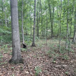 Photo #21 of 0000 Deer Run Trail, Mebane, NC 3.8 acres