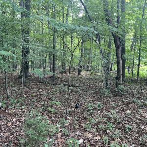 Photo #22 of 0000 Deer Run Trail, Mebane, NC 3.8 acres