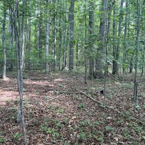 Photo #23 of 0000 Deer Run Trail, Mebane, NC 3.8 acres