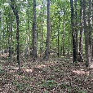 Photo #26 of 0000 Deer Run Trail, Mebane, NC 3.8 acres