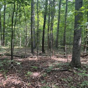 Photo #28 of 0000 Deer Run Trail, Mebane, NC 3.8 acres