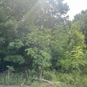 Photo #29 of 0000 Deer Run Trail, Mebane, NC 3.8 acres