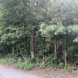 Photo #30 of 0000 Deer Run Trail, Mebane, NC 3.8 acres