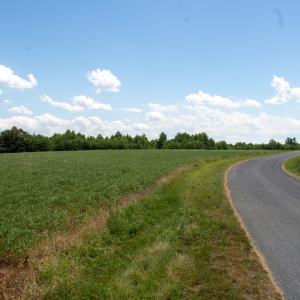 Photo #10 of Off E Elkhorn Rd, Java, VA 34.4 acres